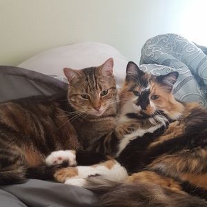 Meet your Posher, Jody